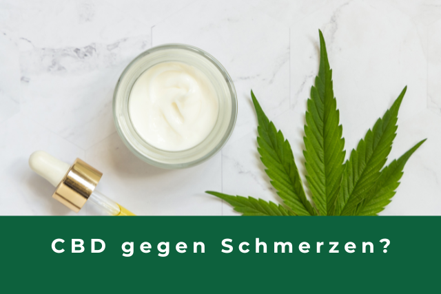 CBD gegen Schmerzen