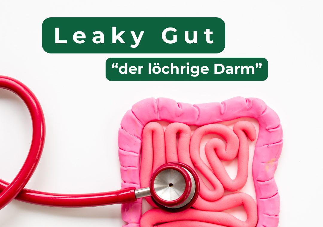 Mehr über den Artikel erfahren Leaky Gut Syndrom: Ursachen, Folgen und ganzheitliche Therapie
